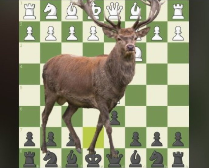 116 szachistów w Mistrzostwach Jeleniej Góry!!! - ZDJĘCIA