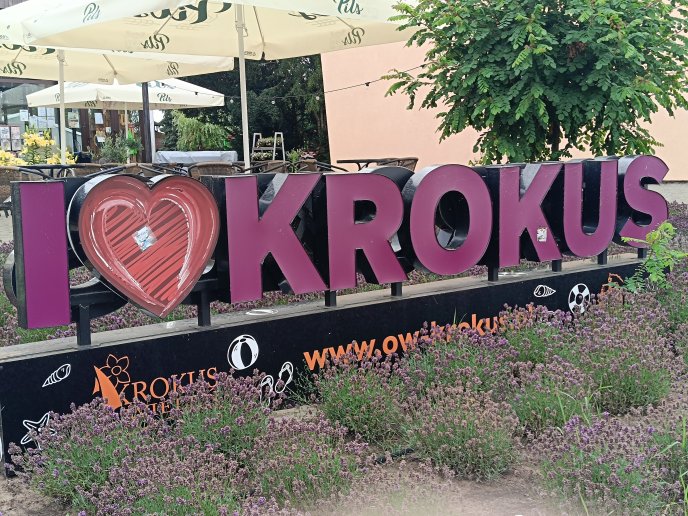 9 dzień - ostatnie rozstrzygnięcia :) lekka atletyka, plaża, ognisko, zakończenie:(